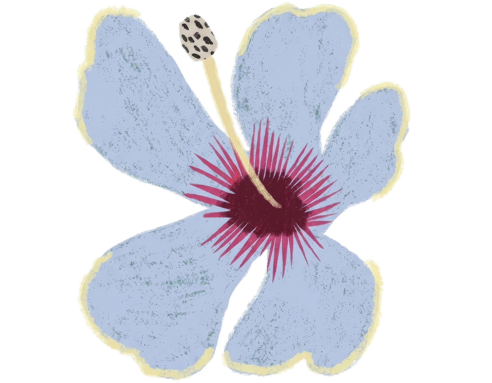 flower-image