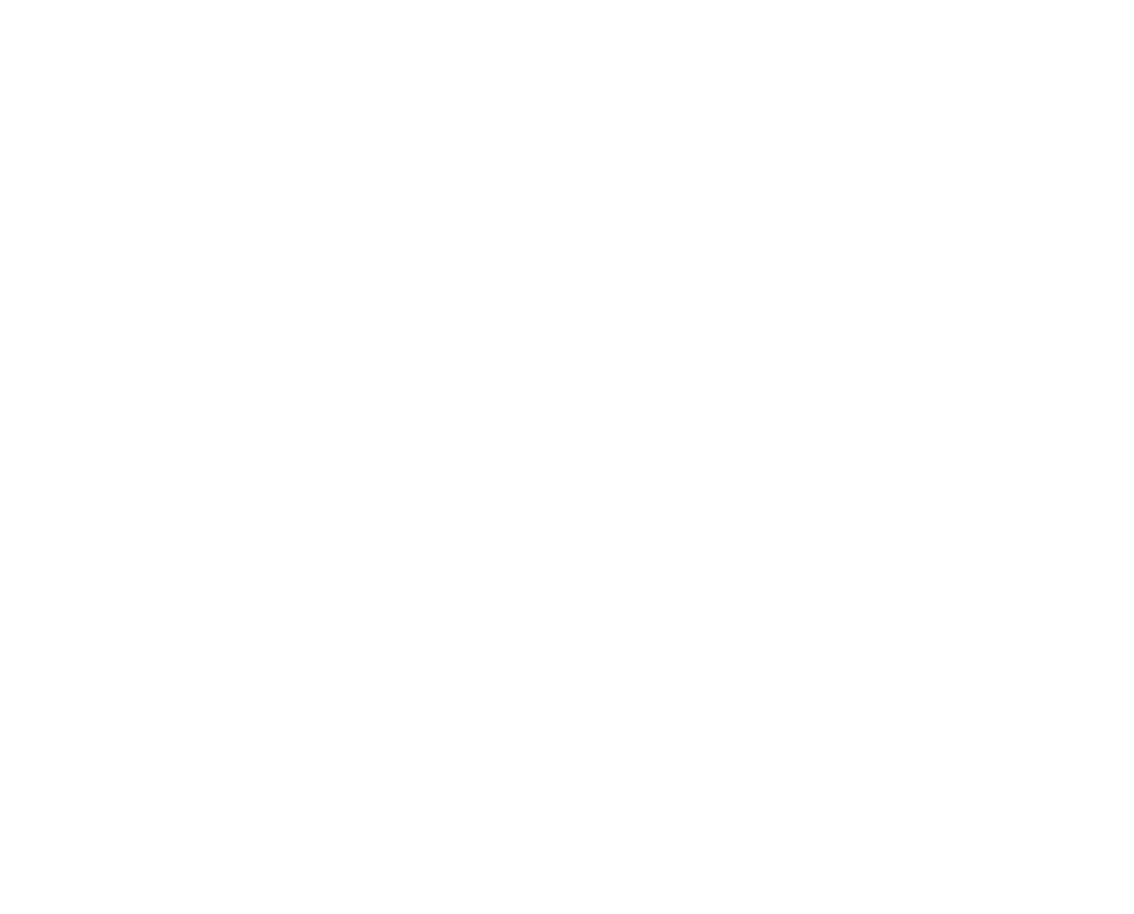 niso new 47