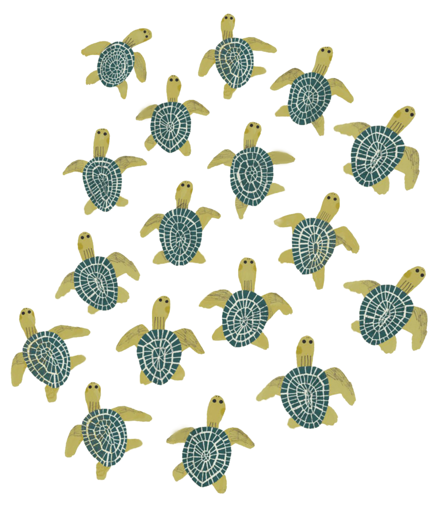 turtle bg 1 (3)